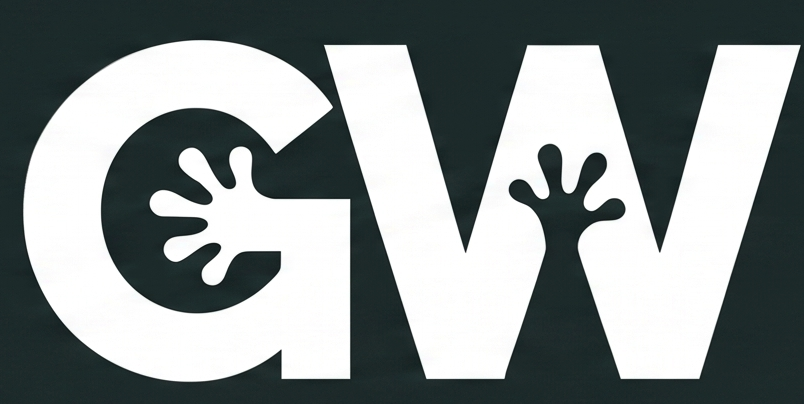 Gecko Web Solutions