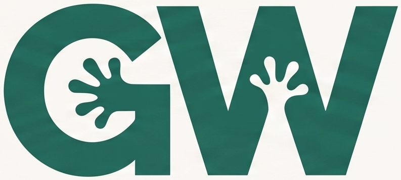 Gecko Web Solutions